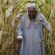 Whoopi Goldberg as Mother Abagail.